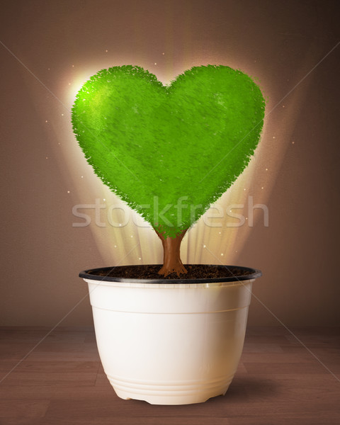 Eco corazón árbol fuera maceta Foto stock © ra2studio