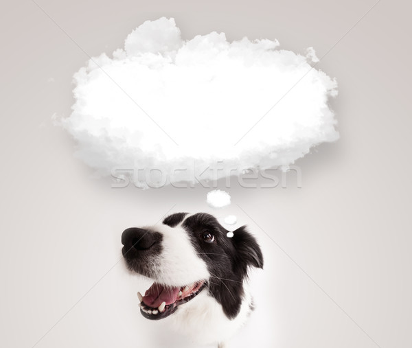 Cute dog with empty cloud bubble Stock photo © ra2studio