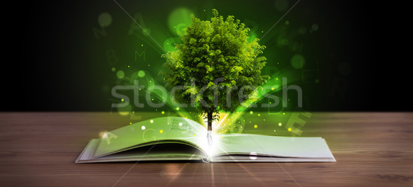 Open book with magical green tree and rays of light Stock photo © ra2studio