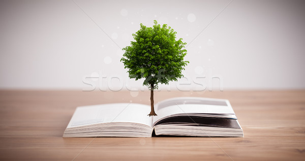 Tree growing from an open book Stock photo © ra2studio