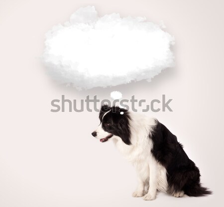 Cute dog with empty cloud bubble Stock photo © ra2studio