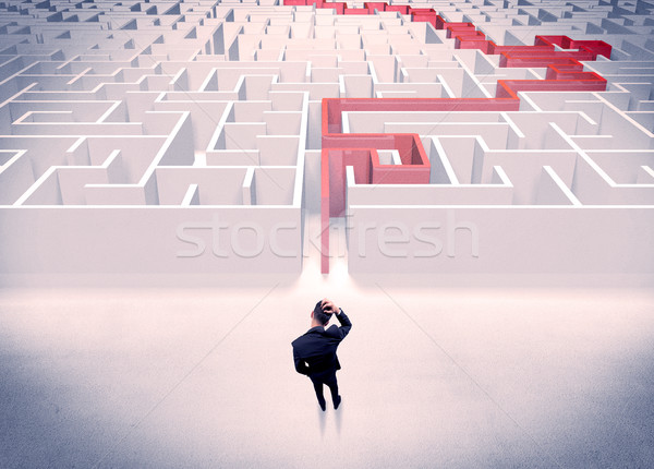 Maze solved for businessman concept Stock photo © ra2studio