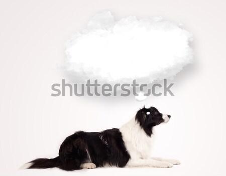 Cute dog with empty cloud bubble Stock photo © ra2studio