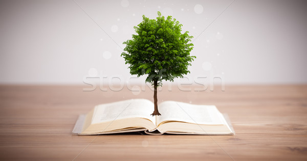 Tree growing from an open book Stock photo © ra2studio