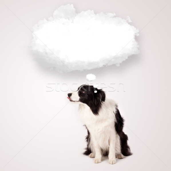 Aranyos kutya üres felhő buborék feketefehér Stock fotó © ra2studio