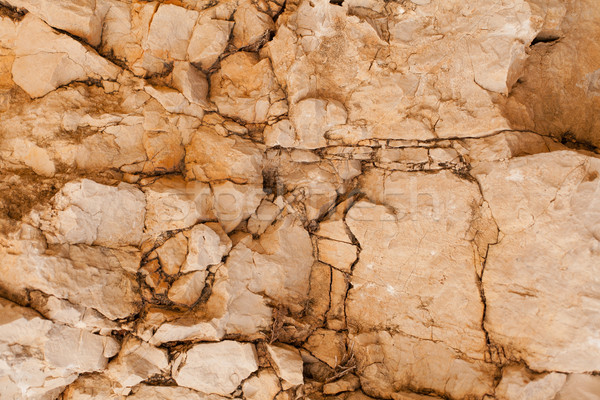 Texture of a stone wall Stock photo © ra2studio