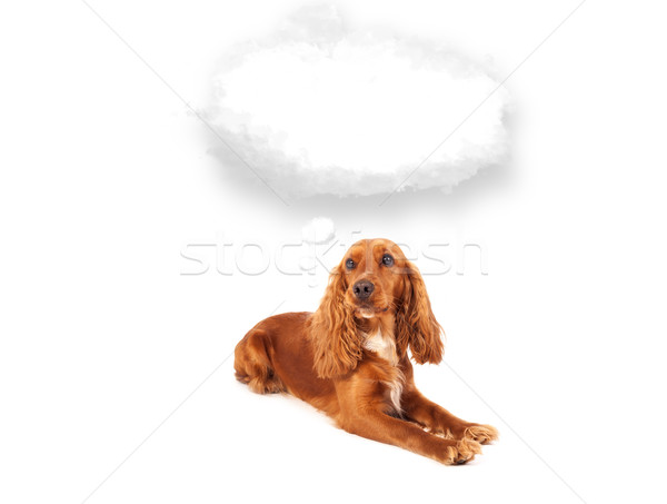 Drăguţ câine gol nor balon maro Imagine de stoc © ra2studio