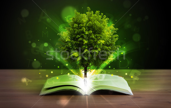Open boek magisch groene boom stralen licht houten Stockfoto © ra2studio