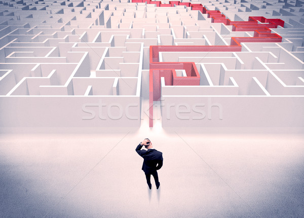 Maze solved for businessman concept Stock photo © ra2studio