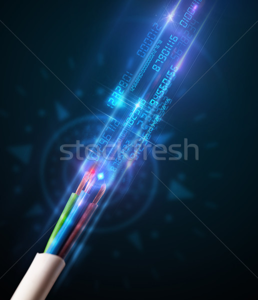 Elektrische kabel internet server Stockfoto © ra2studio