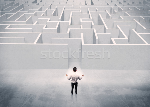 Sales person standing at maze entrance Stock photo © ra2studio