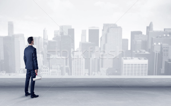 Businessman looking at a big city panorama Stock photo © ra2studio