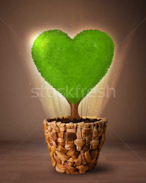 Eco corazón árbol fuera maceta Foto stock © ra2studio