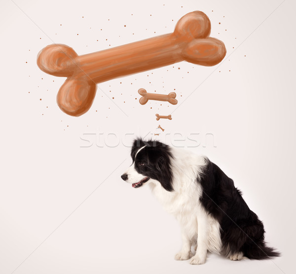 [[stock_photo]]: Border · collie · pense · osseuse · cute · blanc · noir · séance