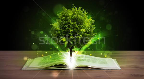 Open book with magical green tree and rays of light Stock photo © ra2studio