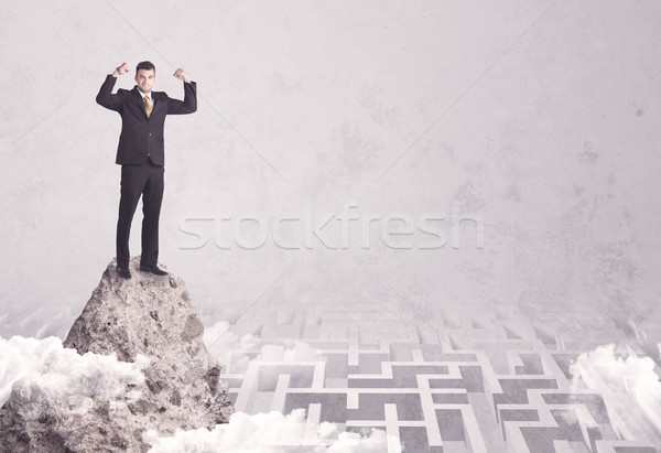 Businessman on cliff above labyrinth Stock photo © ra2studio