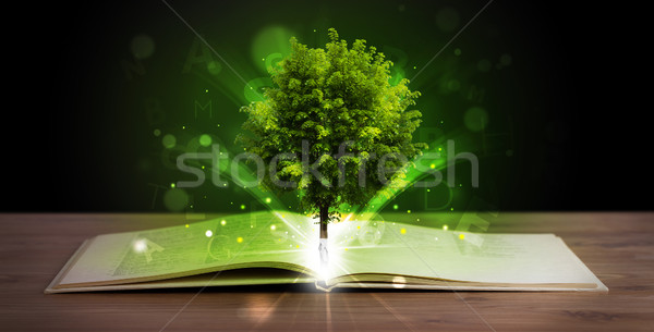 ストックフォト: 開いた本 · 緑の木 · 日光 · 光 · 木製