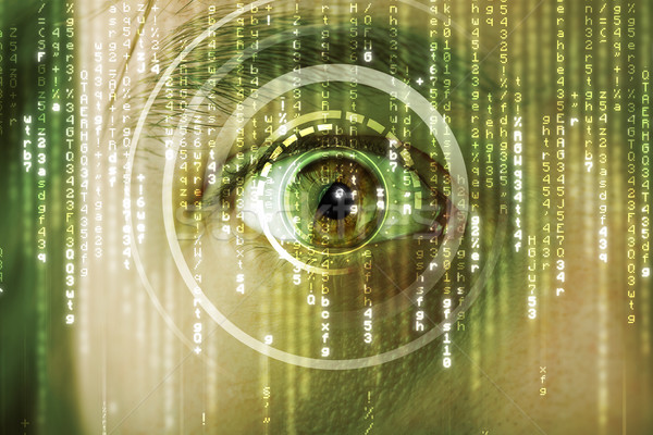 Modern cyber soldier with target matrix eye Stock photo © ra2studio