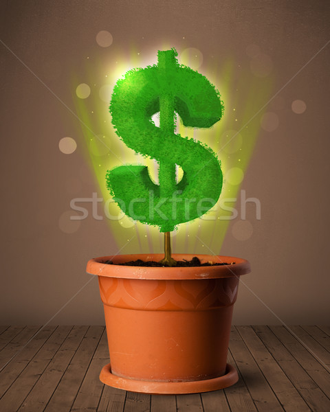Simbolo del dollaro albero fuori fioriera splendente business Foto d'archivio © ra2studio
