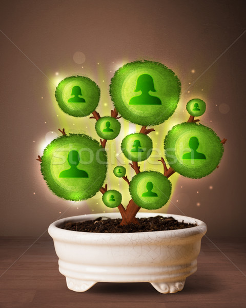 Social network tree coming out of flowerpot Stock photo © ra2studio