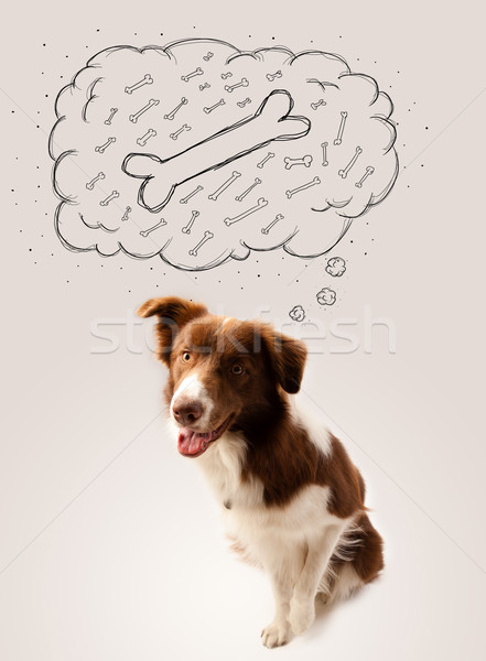 Border collie with thought bubble thinking about a bone Stock photo © ra2studio