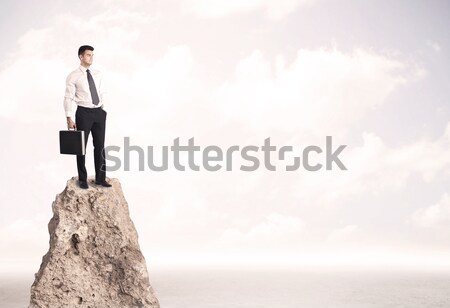 Happy businessman standing on cliff Stock photo © ra2studio