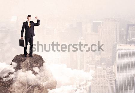 Businessman on rock mountain with a dollar mark Stock photo © ra2studio