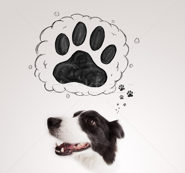 Cute border collie with paw above her head Stock photo © ra2studio