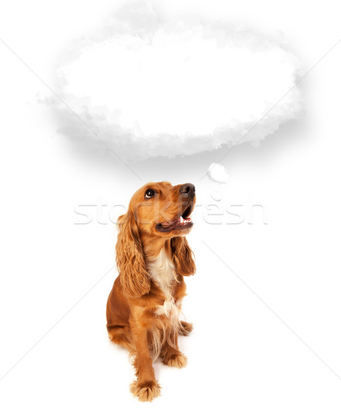 Cute dog with empty cloud bubble Stock photo © ra2studio