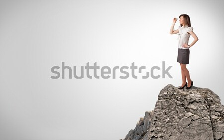 Foto stock: Empresária · rocha · montanha · jovem · em · pé · borda