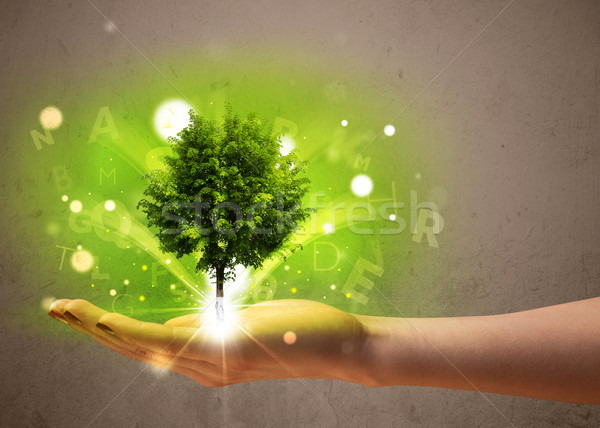 Glowing tree growing in the hand of a woman Stock photo © ra2studio