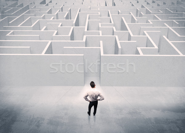 Sales person standing at maze entrance Stock photo © ra2studio
