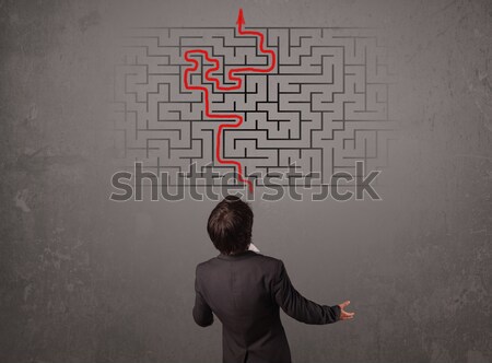 Business man looking at a maze and the way out  Stock photo © ra2studio