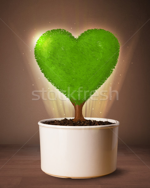 Eco cuore albero fuori fioriera Foto d'archivio © ra2studio