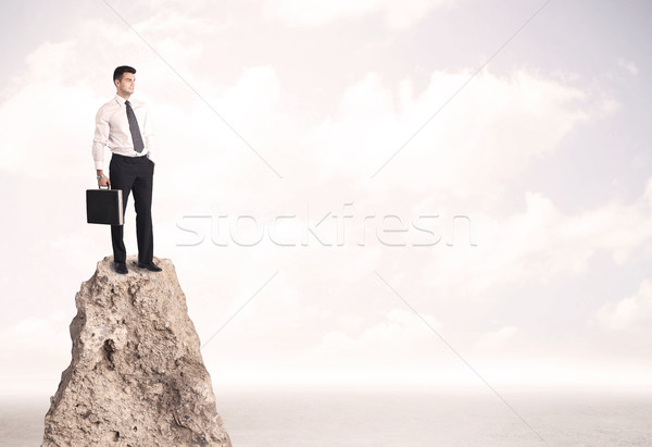 Happy businessman standing on cliff Stock photo © ra2studio