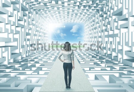 üzletasszony labirintus sikeres bonyolult nő nők Stock fotó © ra2studio