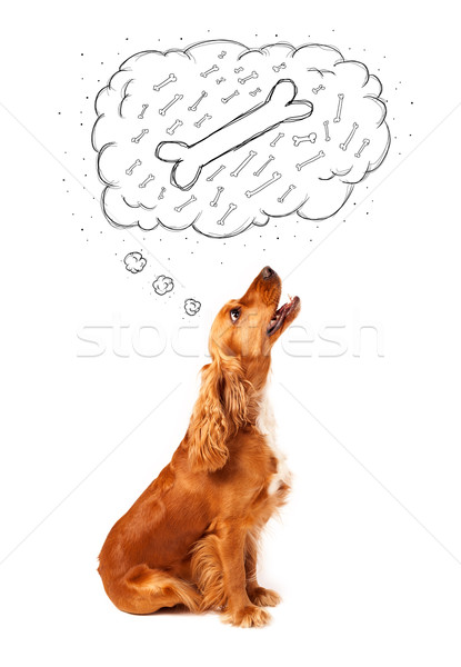 かわいい 犬 思考バブル 思考 骨 座って ストックフォト © ra2studio