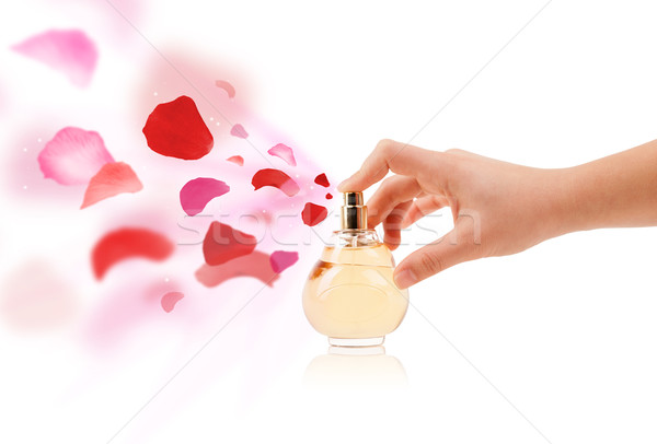 woman hands spraying rose petals Stock photo © ra2studio
