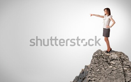 Businesswoman on rock mountain Stock photo © ra2studio