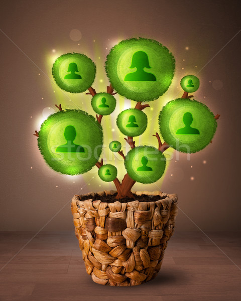 Social network tree coming out of flowerpot Stock photo © ra2studio