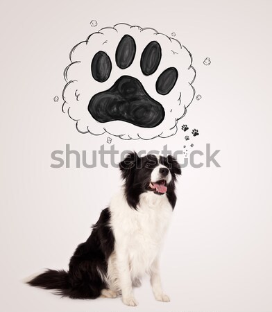 Aranyos juhászkutya mancs fölött fej feketefehér Stock fotó © ra2studio