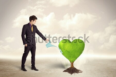 Business man watering heart shaped green tree Stock photo © ra2studio