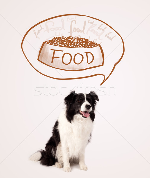 Aranyos juhászkutya álmodik étel feketefehér gondolkodik Stock fotó © ra2studio