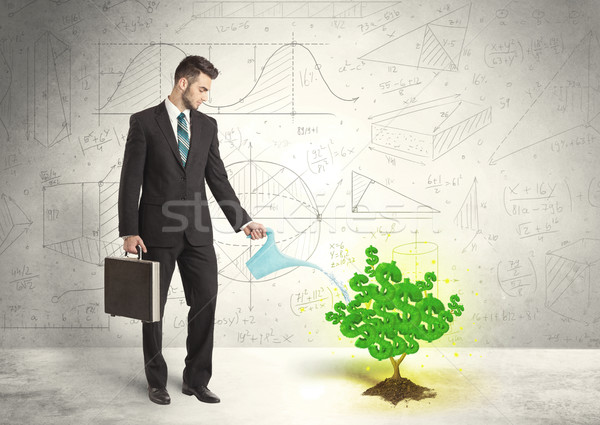 Stock foto: Geschäftsmann · Bewässerung · zunehmend · grünen · Dollarzeichen · Baum