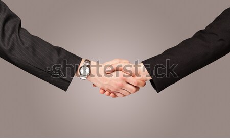 Business handshake Stock photo © ra2studio