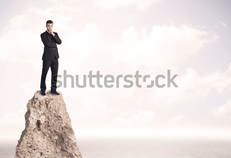 Happy businessman standing on cliff Stock photo © ra2studio