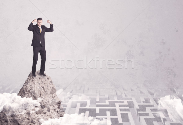 Businessman on cliff above labyrinth Stock photo © ra2studio