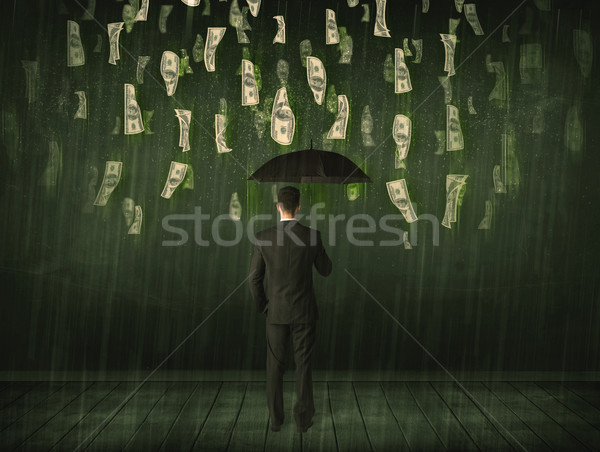 Imprenditore piedi ombrello dollaro bill pioggia Foto d'archivio © ra2studio