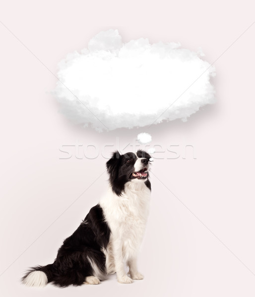 Cute dog with empty cloud bubble Stock photo © ra2studio