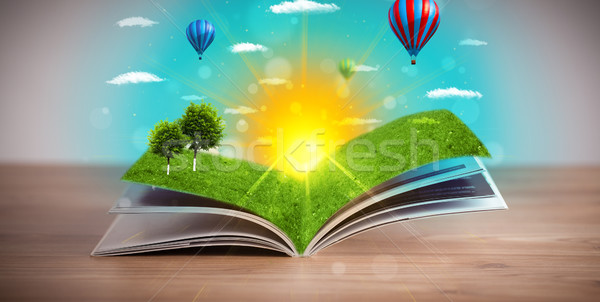 [[stock_photo]]: Livre · ouvert · vert · nature · monde · sur